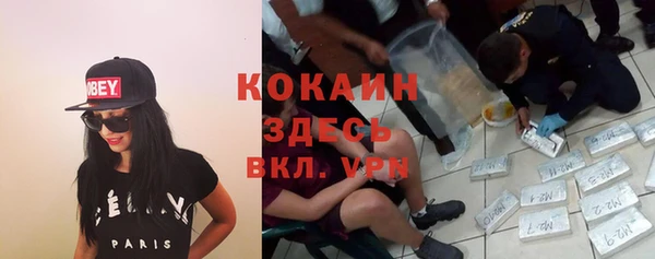 PSILOCYBIN Баксан