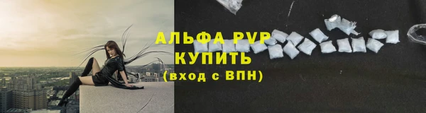 PSILOCYBIN Баксан