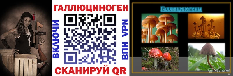 где можно купить наркотик  нарко площадка Telegram  Псилоцибиновые грибы прущие грибы  Грязи 